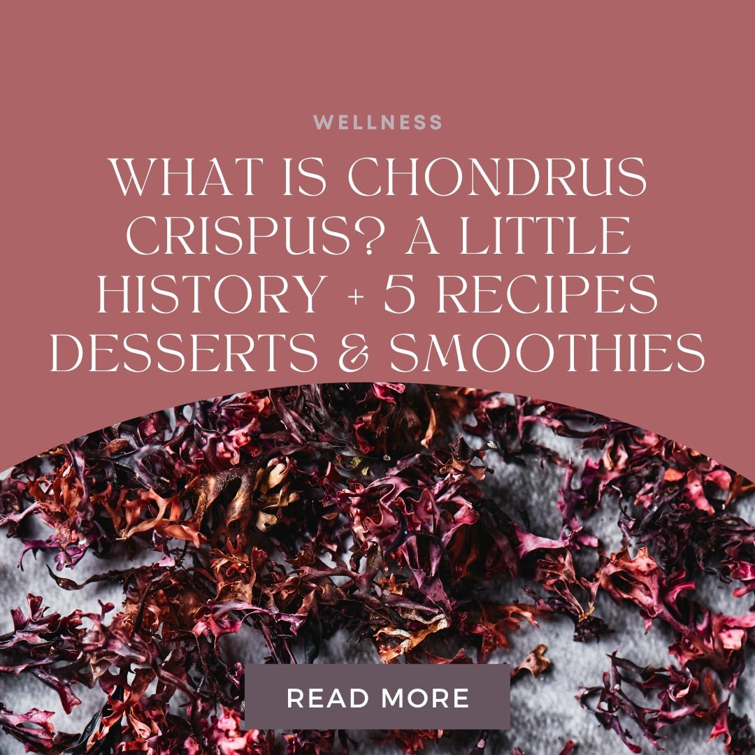 What is Chondrus Crispus? A Little History + 5 Recipes Desserts & Smoothies - Go Natural 247