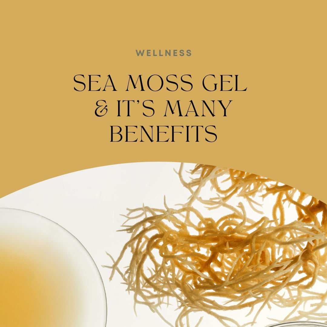 What Is Sea Moss Gel and What Are Its Benefits? - Go Natural 247