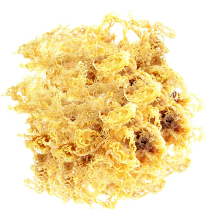 Crave Nutrients Wild-harvested Sea Moss 7 Sample Collection - Go Natural 247