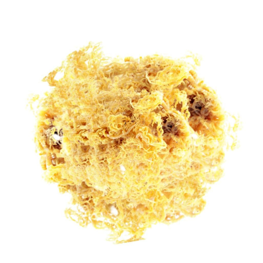 Crave Nutrients Wild-harvested St. Lucian Golden Sea Moss (100% Sun-Dried) - Go Natural 247