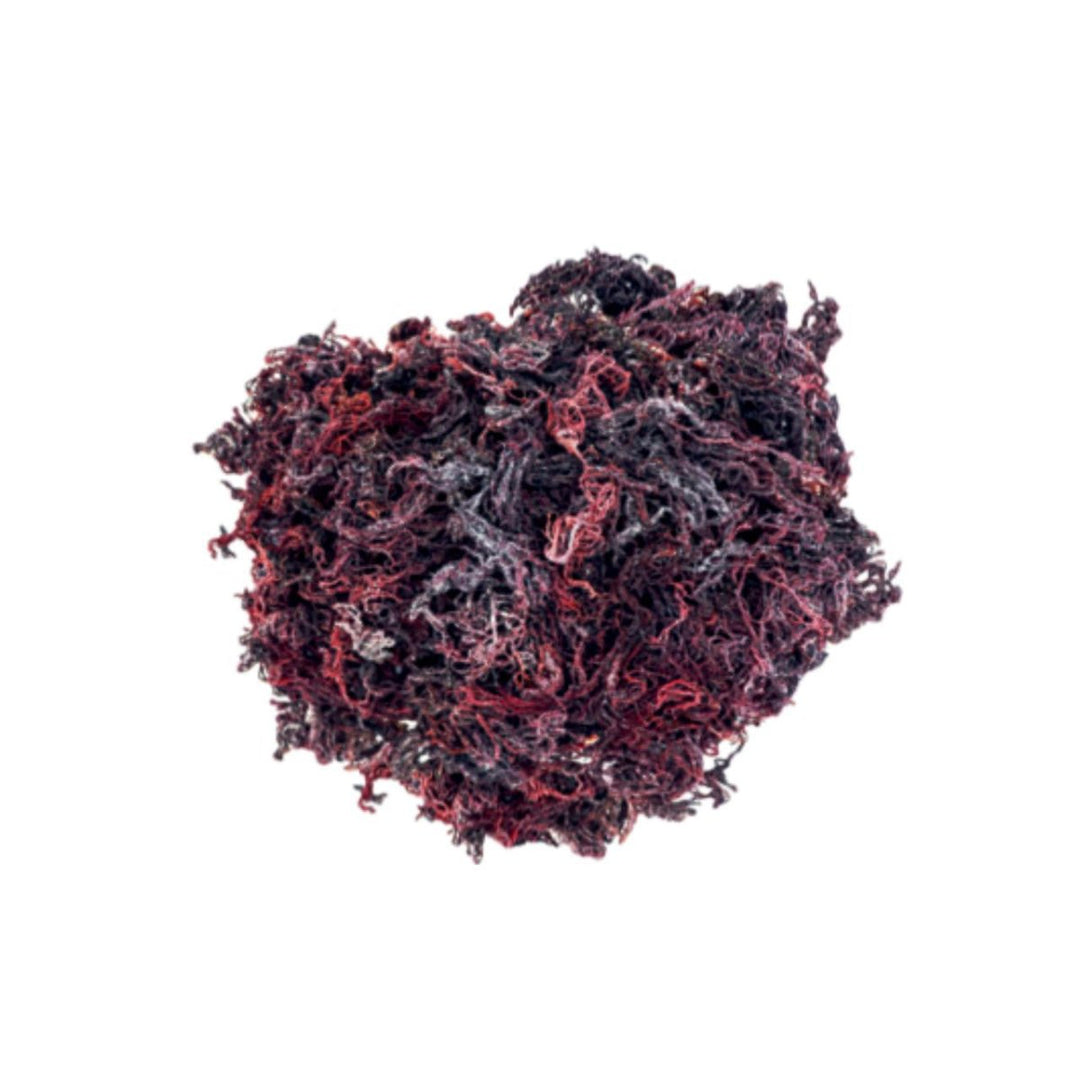 Crave Nutrients Wild-harvested St. Lucian Purple Sea Moss - Go Natural 247